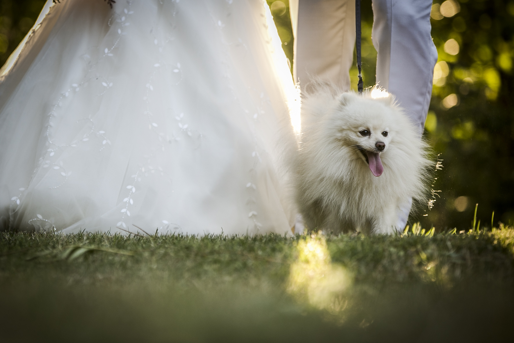 Bride entrance (6 of 6)